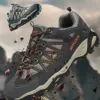 Sport Shoes Manufacture Mesh Breathable Wear-resistant Non-slip Casual Sports Shoes Men Women Hiking Shoes